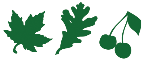 maple and oak and cherry wood hard wood for semi custom cabinet building